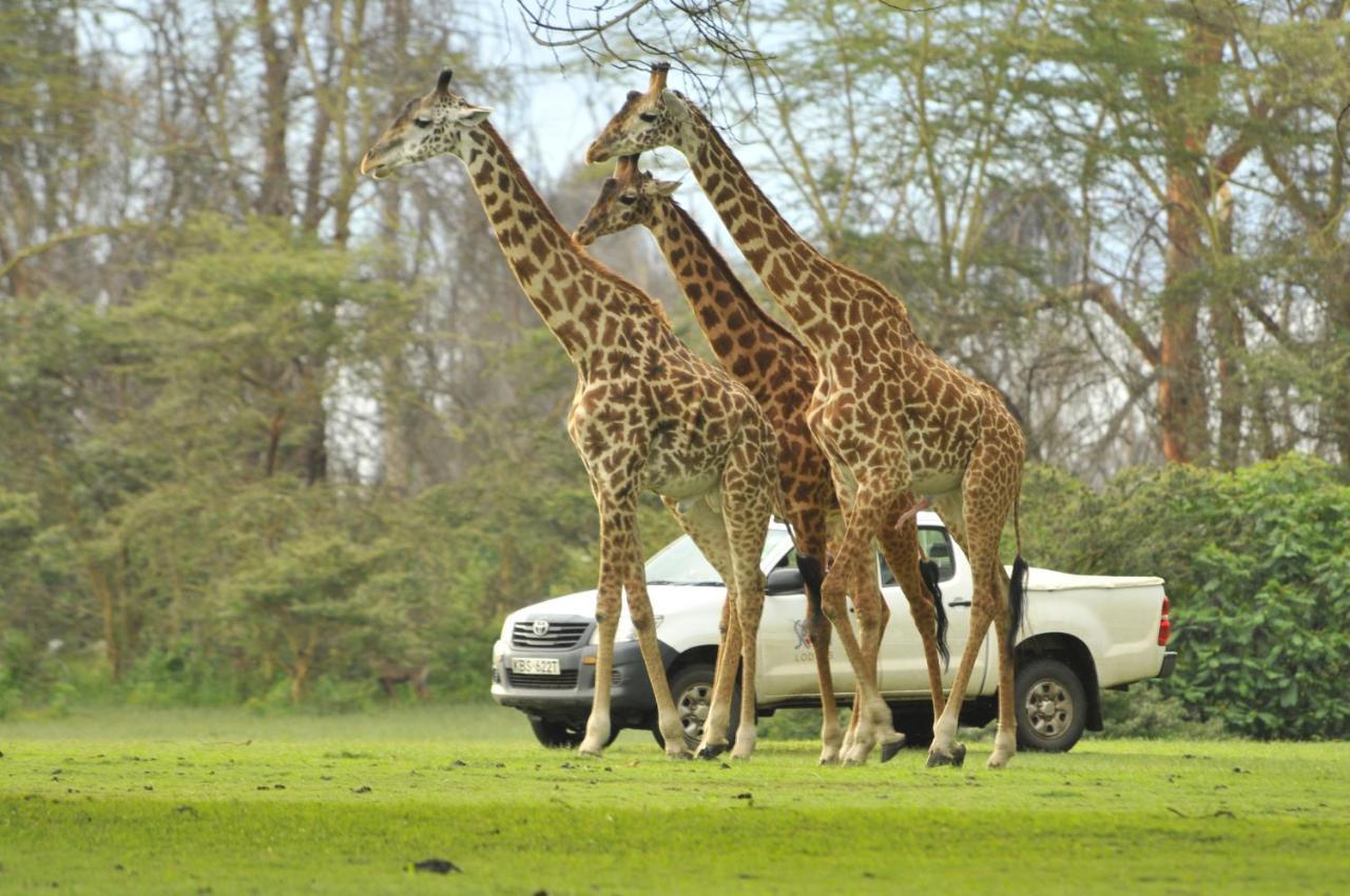 Lake Naivasha Sopa Resort Exterior foto